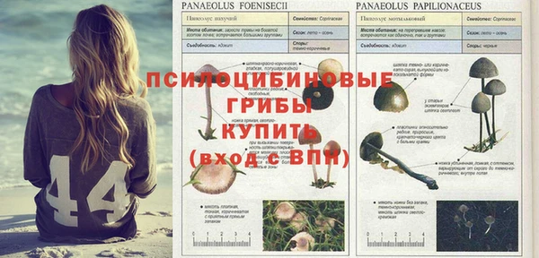 меф Кинешма