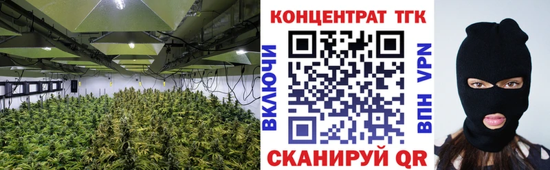 Дистиллят ТГК гашишное масло  Купить закладки  Плёс 