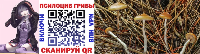Галлюциногенные грибы мухоморы  Купить где  Плёс 